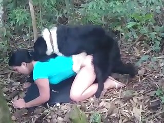 Zoophile Porn