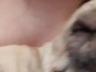 Guy Fucks Dog Pussy