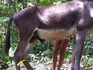 Swallowing Horse Cum