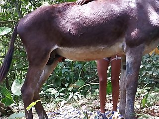 Swallowing Horse Cum