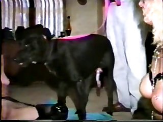 Kissing Dog Zoo Porn