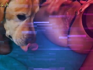 Girl Forced To Fuck A Dog Porn
