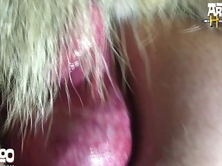 Fucking Dog Porn Gif