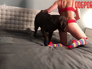 Handjob For Dog Porn