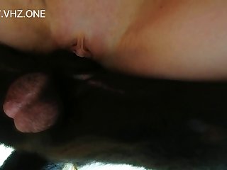Sonya Zoo Tube