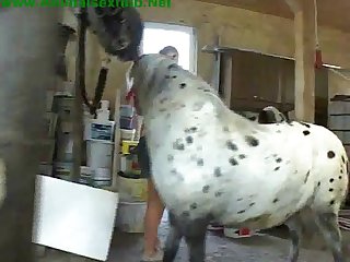 Hentai Animal Sex Gif