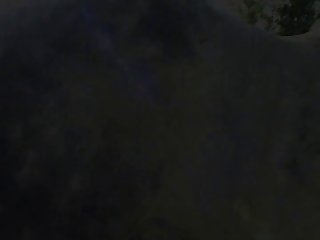 Animal Sex Piss