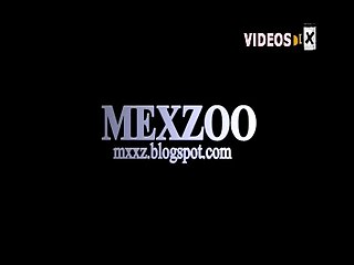 Sexo Com Animais