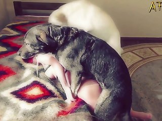 Köpek Ve Kadın Porno