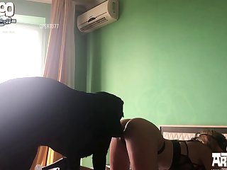 獣姦 えろ
