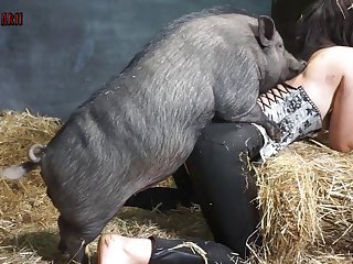 Dog Sex With Girl