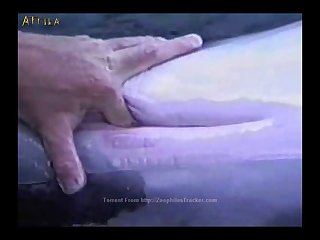 best fingering porn videos page 1 at bestiality.stream