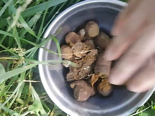 Lord Of The Dung 002