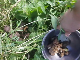 Lord Of The Dung 002